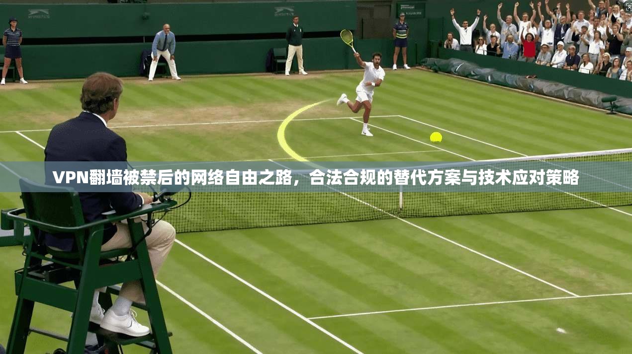 VPN翻墙被禁后的网络自由之路，合法合规的替代方案与技术应对策略