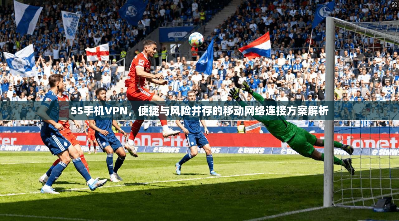 SS手机VPN,便捷与风险并存的移动网络连接方案解析 SS手机VPN,便捷与风险并存的移动网络连接方案解析