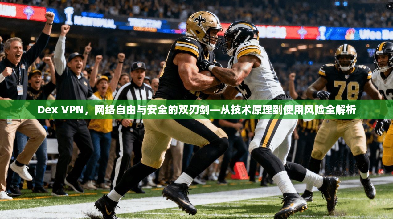 Dex VPN，网络自由与安全的双刃剑—从技术原理到使用风险全解析