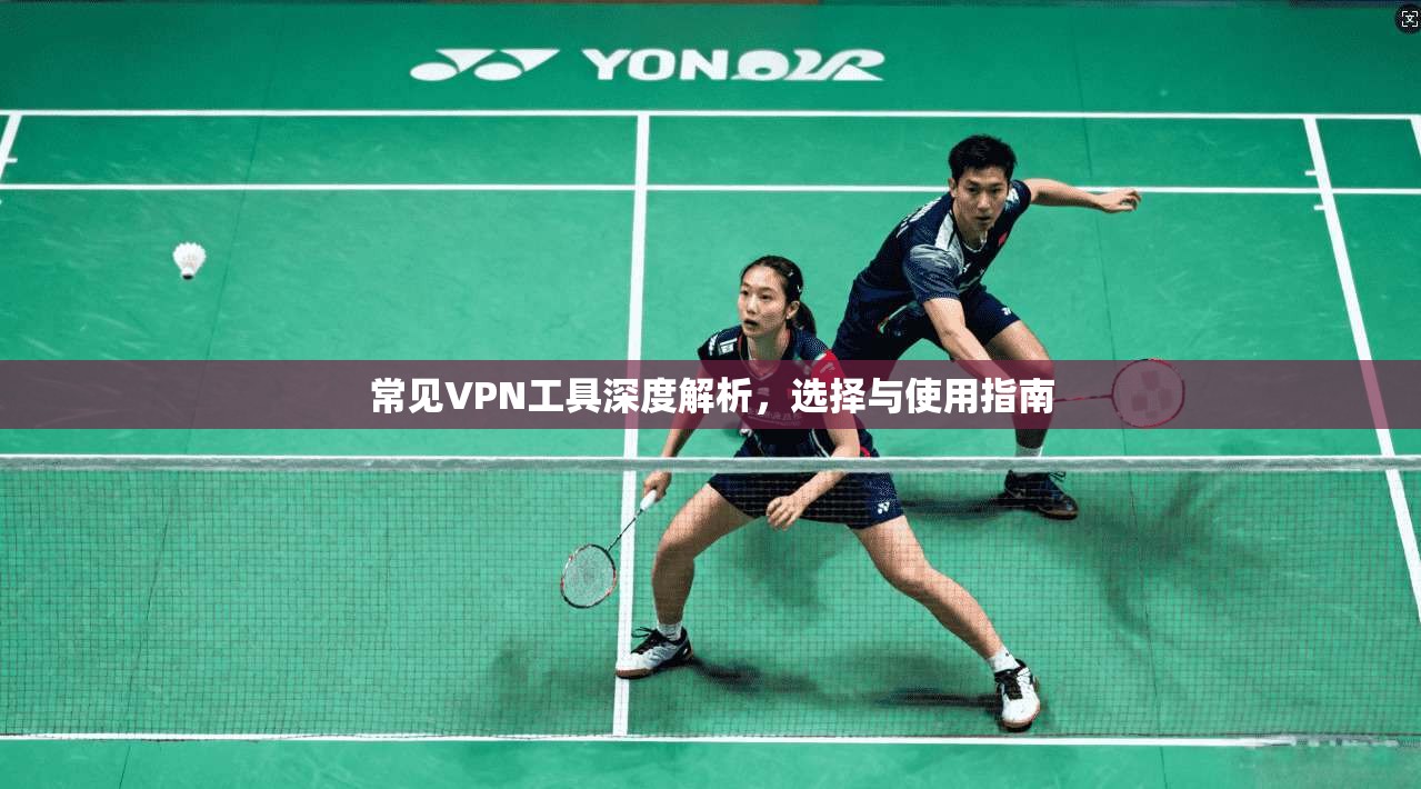 常见VPN工具深度解析，选择与使用指南