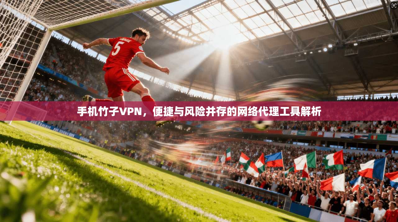 手机竹子VPN，便捷与风险并存的网络代理工具解析