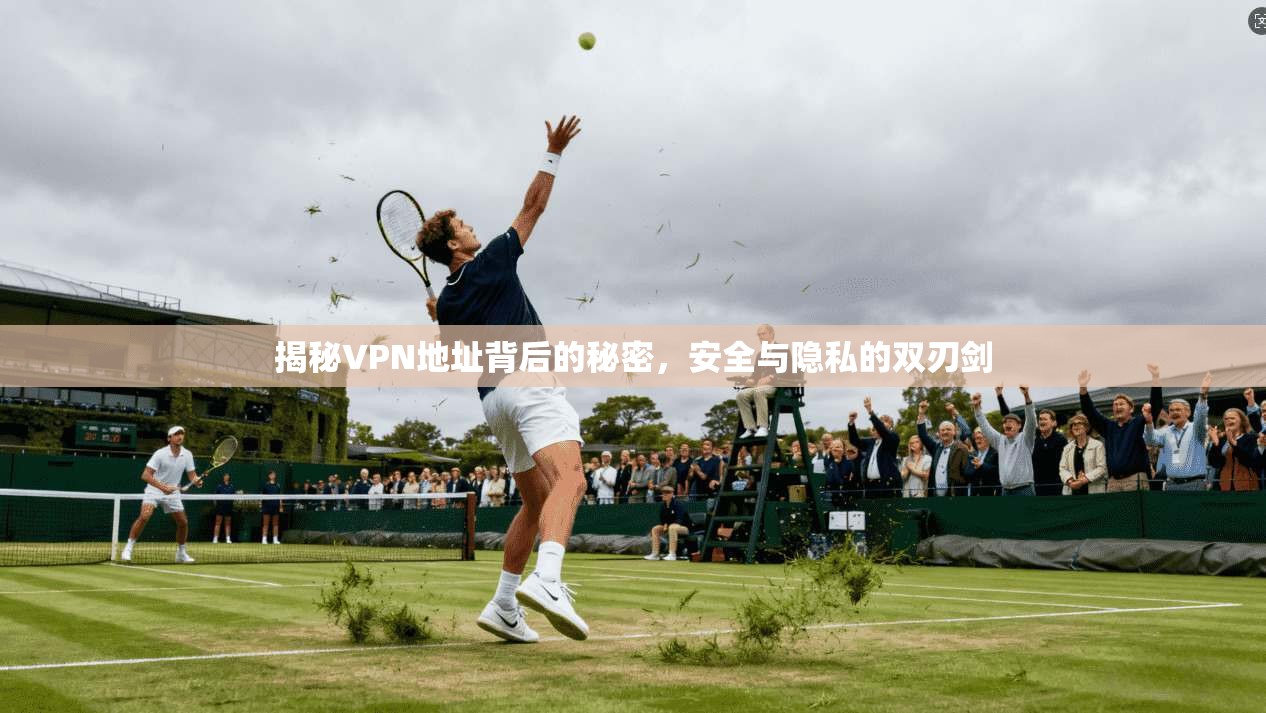 揭秘VPN地址背后的秘密，安全与隐私的双刃剑