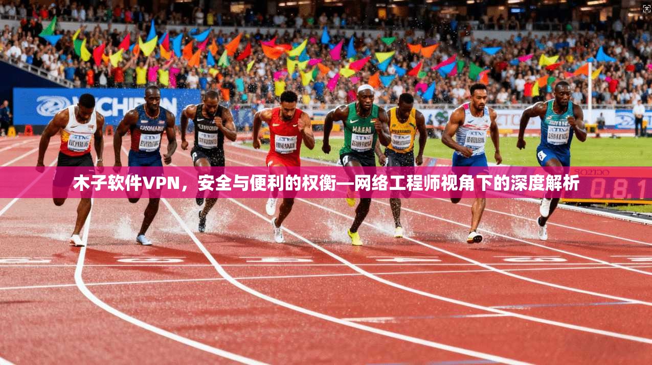 木子软件VPN，安全与便利的权衡—网络工程师视角下的深度解析