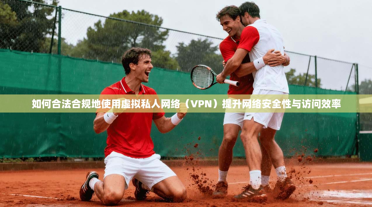 如何合法合规地使用虚拟私人网络（VPN）提升网络安全性与访问效率