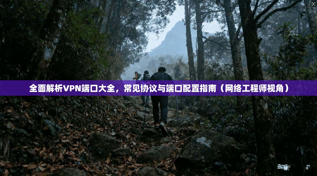全面解析VPN端口大全,常见协议与端口配置指南(网络工程师视角)