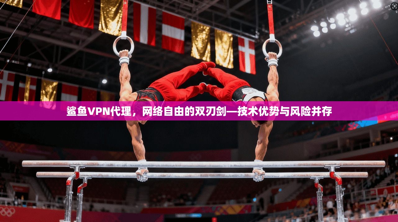 鲨鱼VPN代理，网络自由的双刃剑—技术优势与风险并存