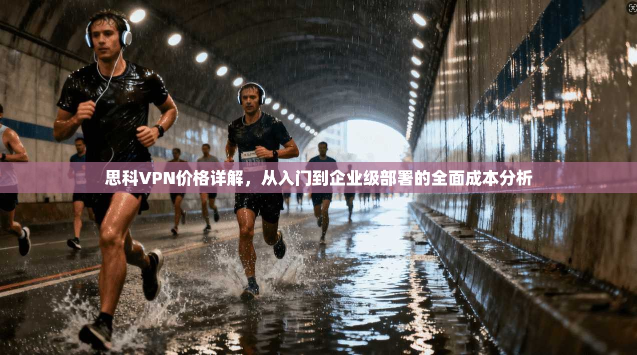 思科VPN价格详解，从入门到企业级部署的全面成本分析