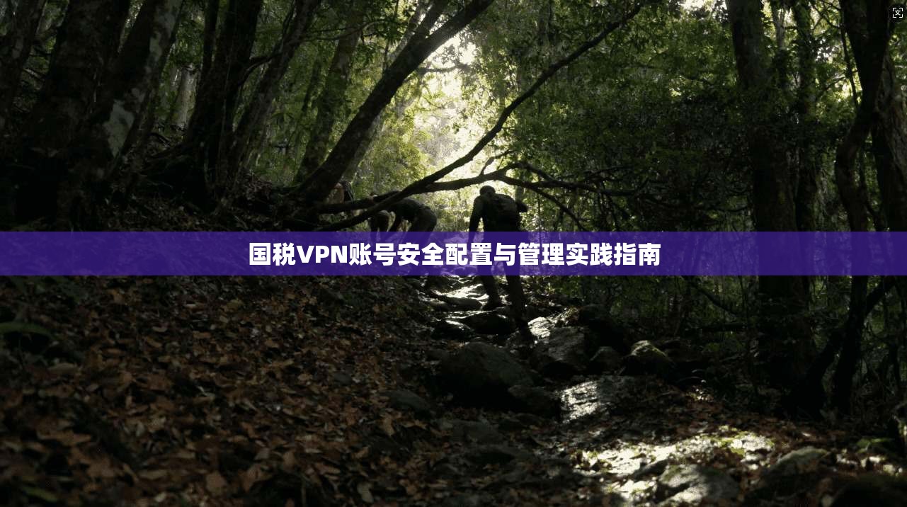 国税VPN账号安全配置与管理实践指南