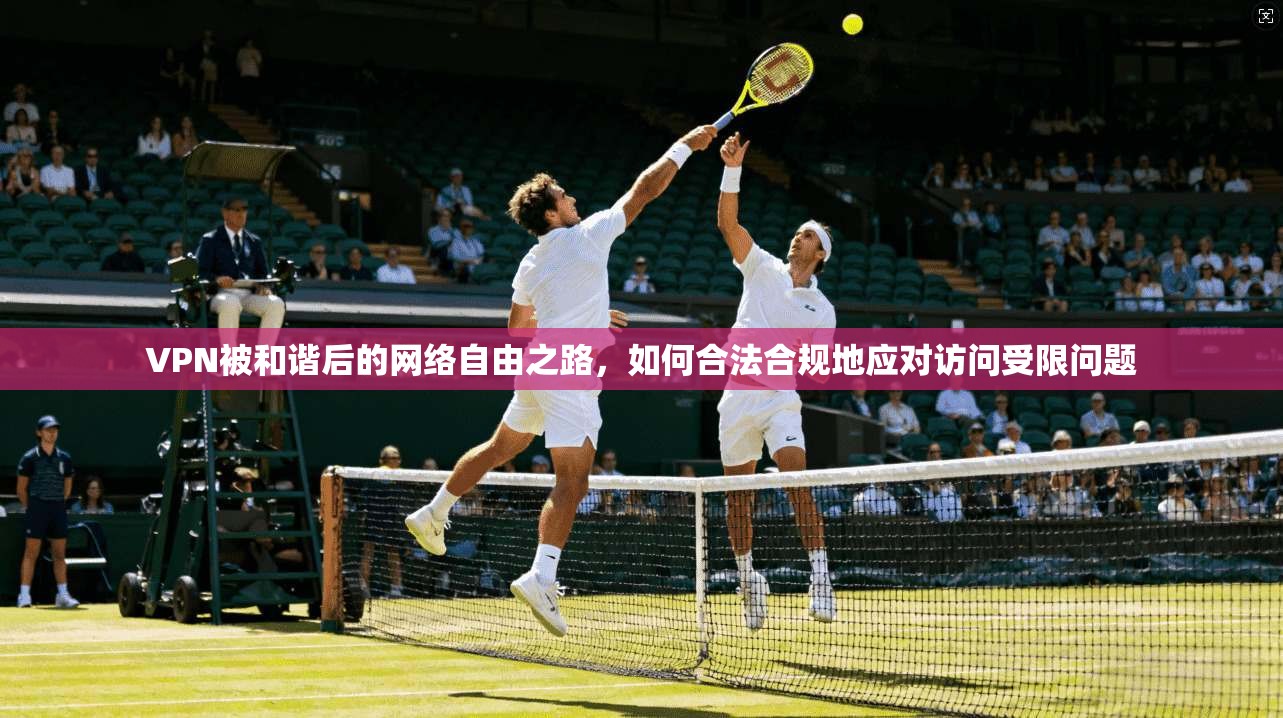 VPN被和谐后的网络自由之路，如何合法合规地应对访问受限问题