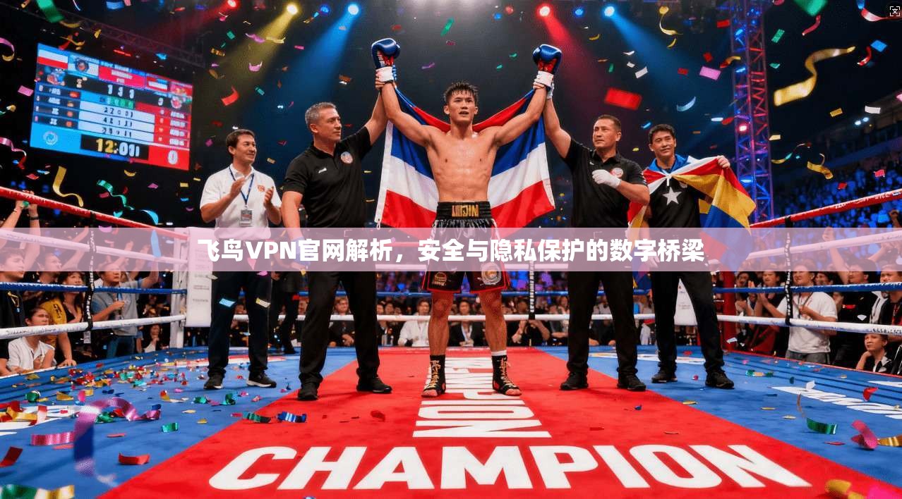 飞鸟VPN官网解析，安全与隐私保护的数字桥梁