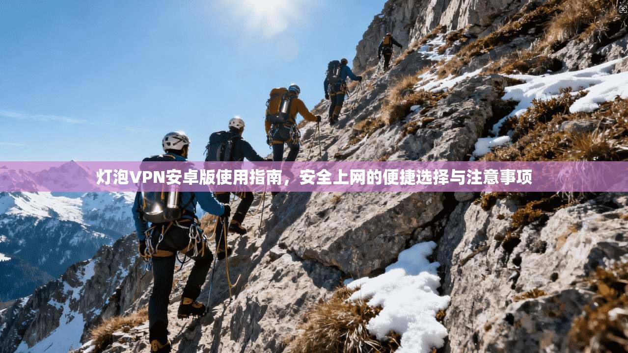 灯泡VPN安卓版使用指南,安全上网的便捷选择与注意事项