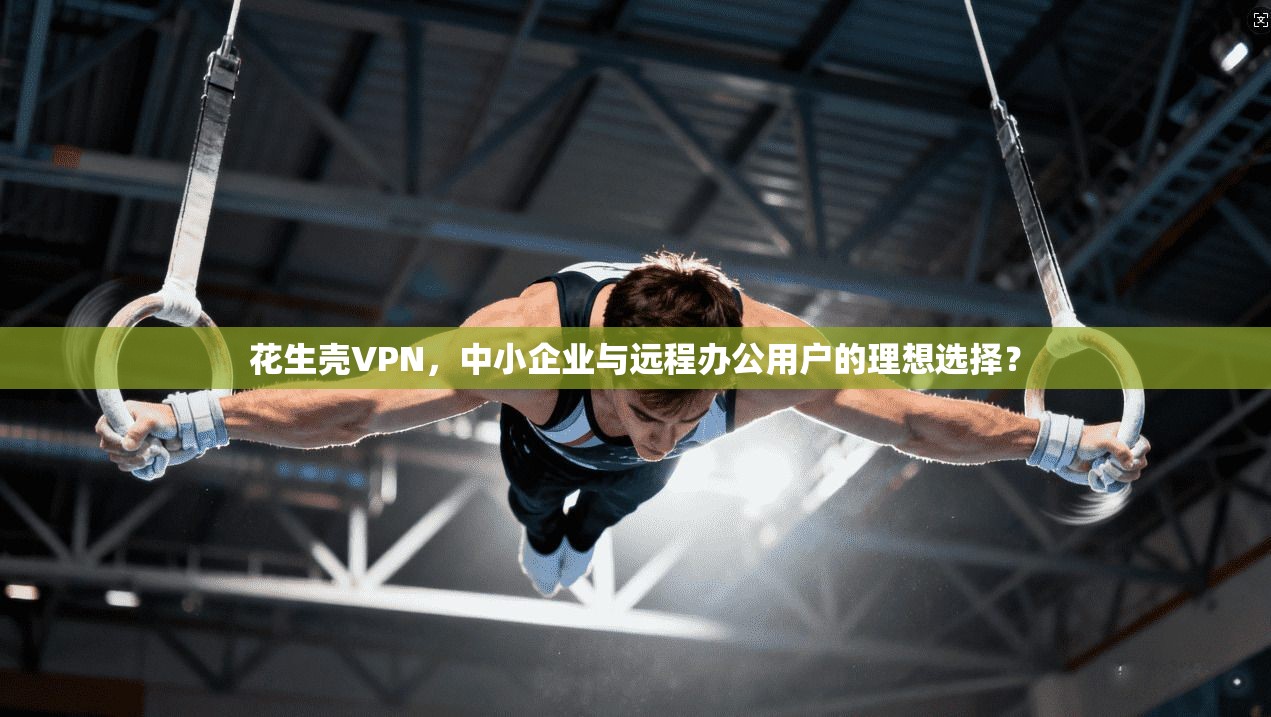 花生壳VPN，中小企业与远程办公用户的理想选择？