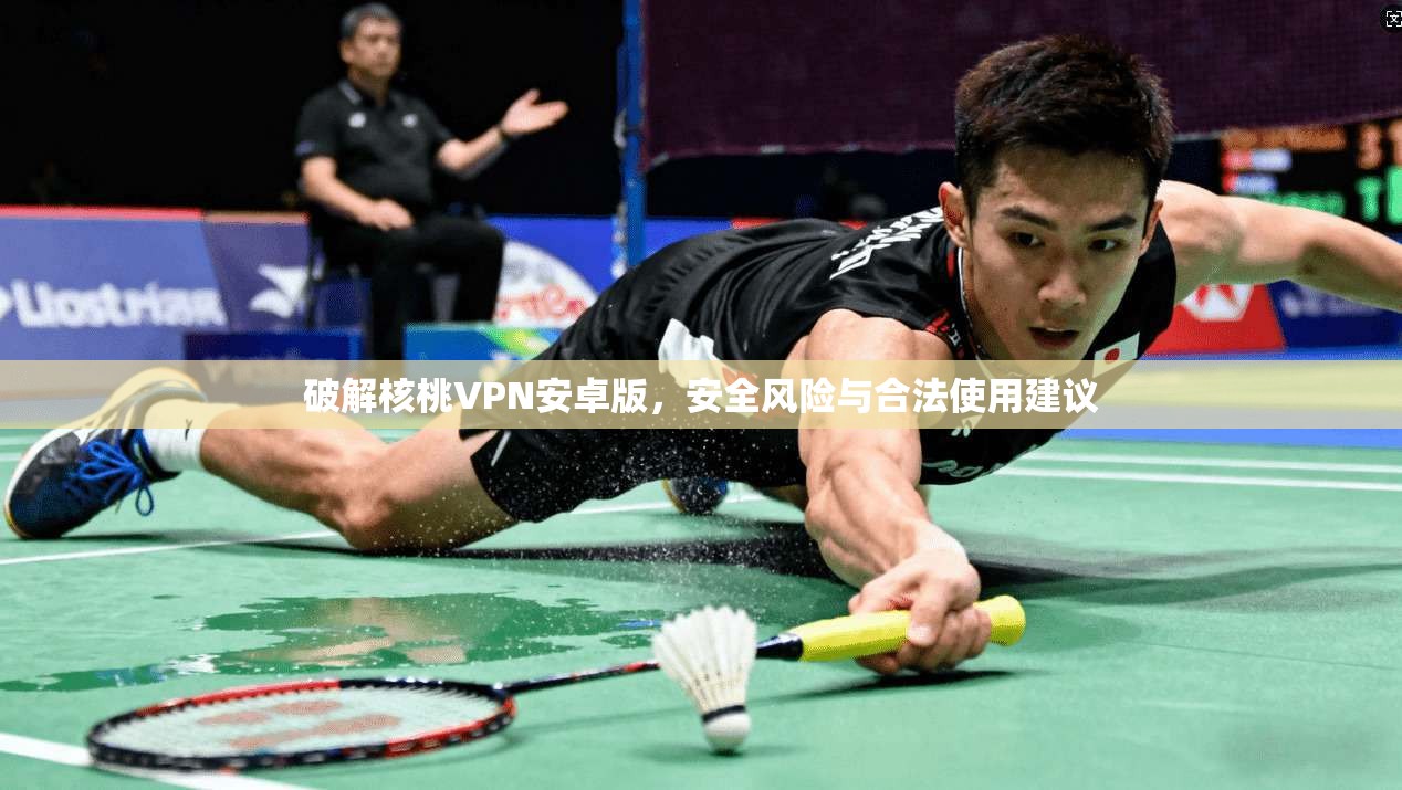 破解核桃VPN安卓版,安全风险与合法使用建议