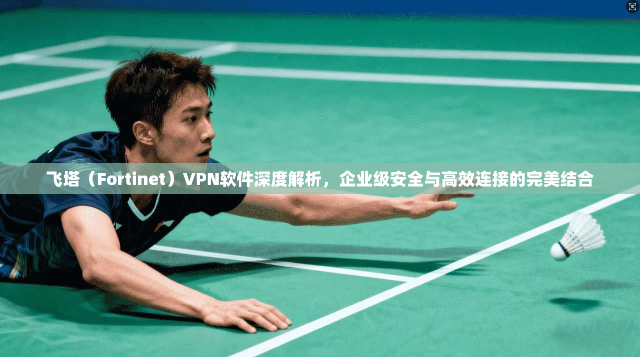 飞塔（Fortinet）VPN软件深度解析，企业级安全与高效连接的完美结合