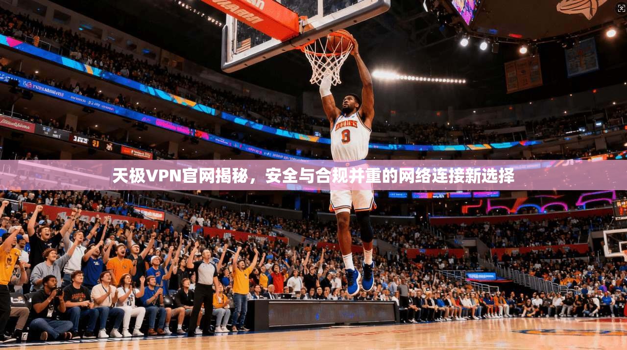 天极VPN官网揭秘,安全与合规并重的网络连接新选择