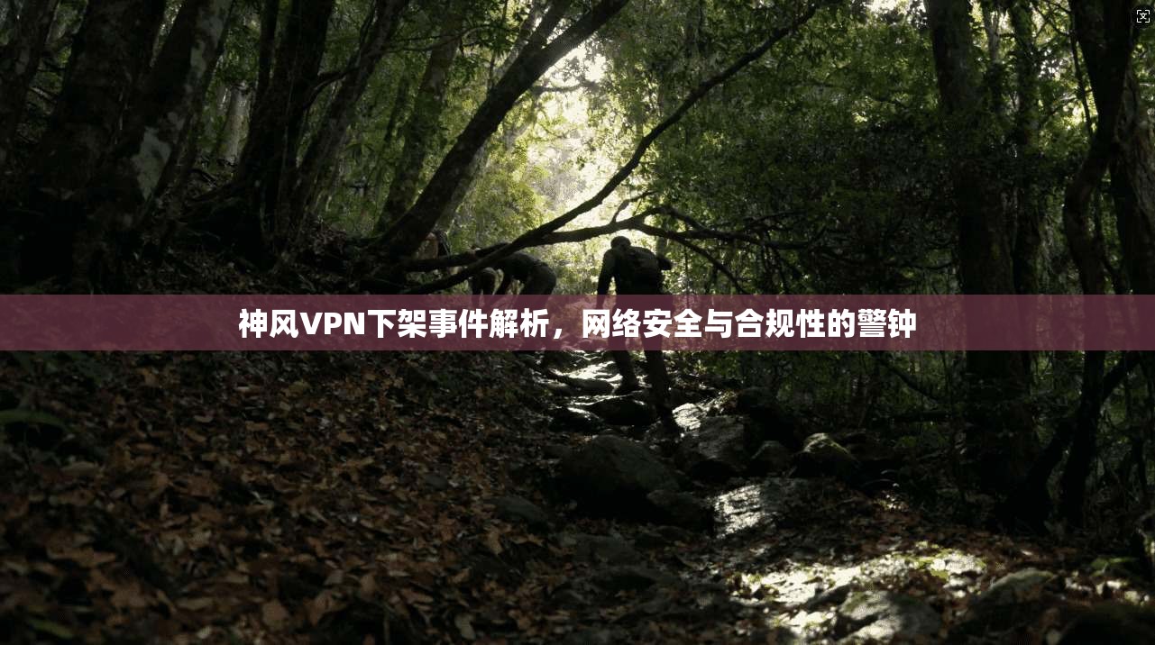 神风VPN下架事件解析，网络安全与合规性的警钟