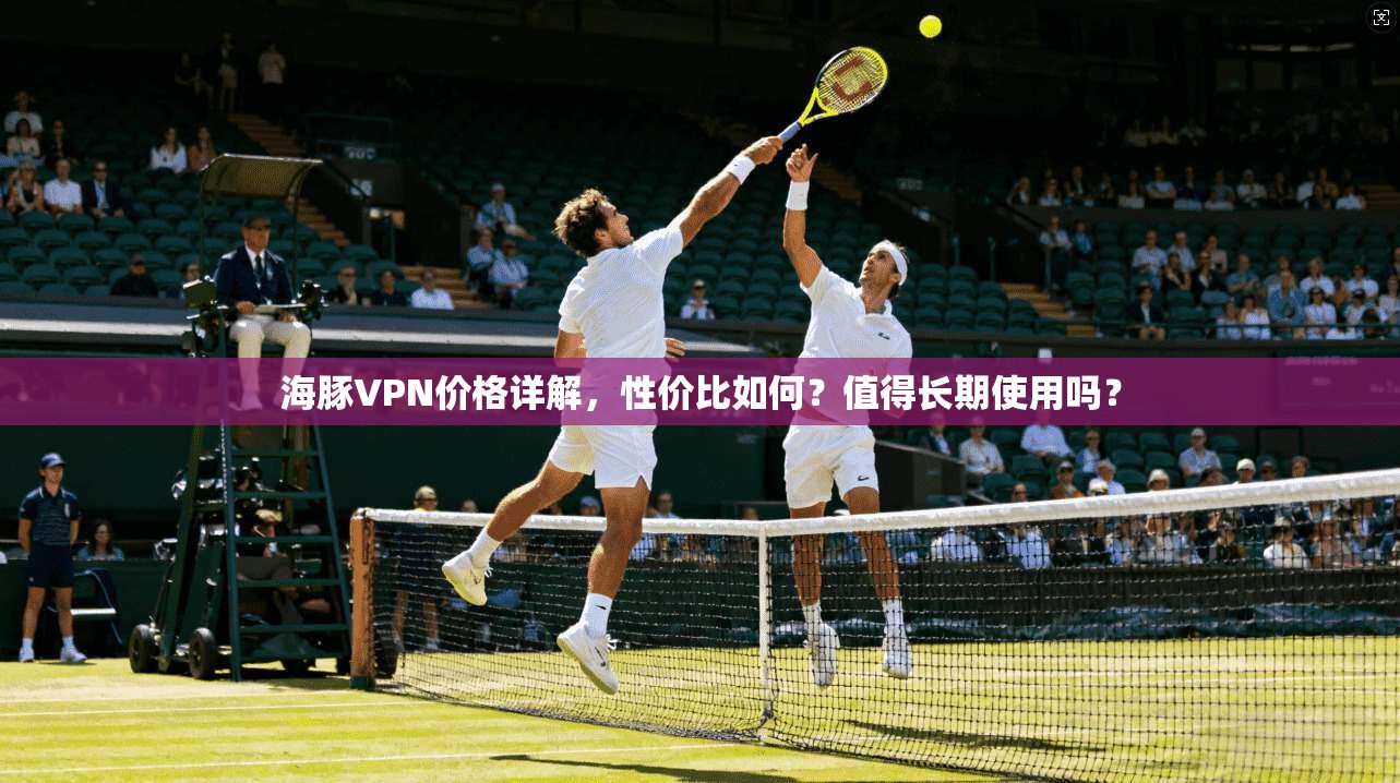 海豚VPN价格详解，性价比如何？值得长期使用吗？