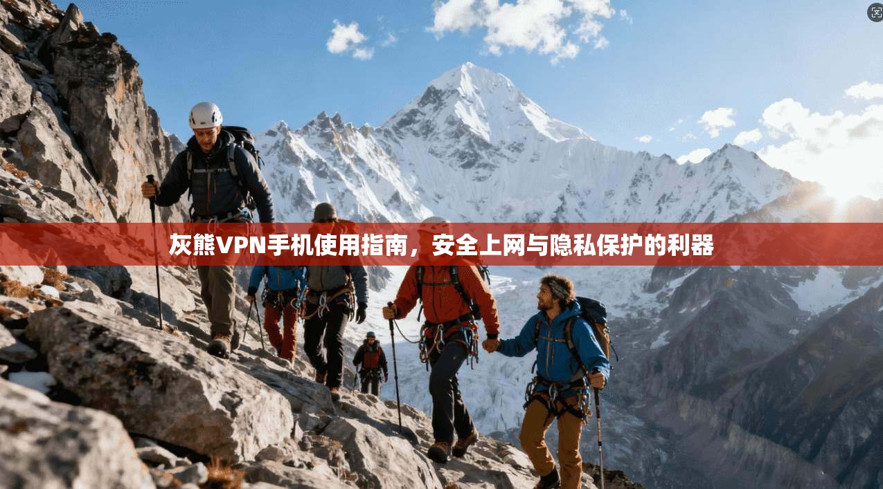 灰熊VPN手机使用指南，安全上网与隐私保护的利器