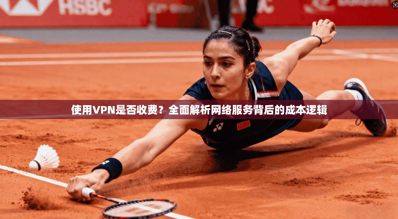 使用VPN是否收费?全面解析网络服务背后的成本逻辑