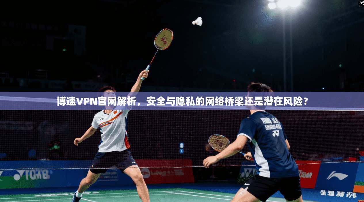 博速VPN官网解析，安全与隐私的网络桥梁还是潜在风险？