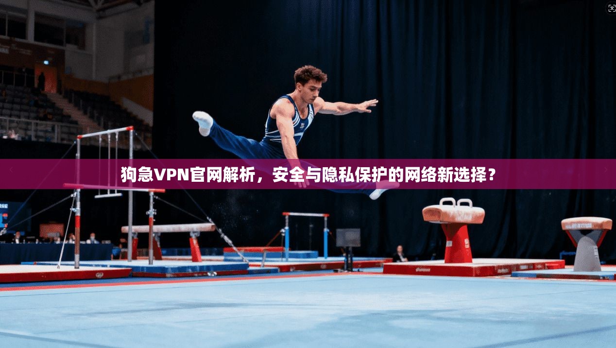 狗急VPN官网解析，安全与隐私保护的网络新选择？