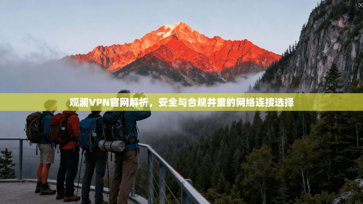 观澜VPN官网解析，安全与合规并重的网络连接选择