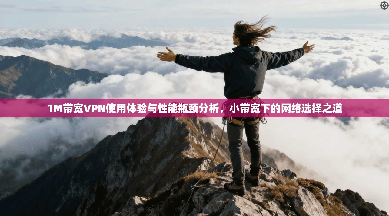 1M带宽VPN使用体验与性能瓶颈分析，小带宽下的网络选择之道
