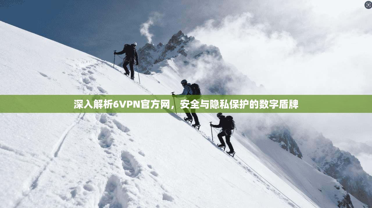 深入解析6VPN官方网，安全与隐私保护的数字盾牌