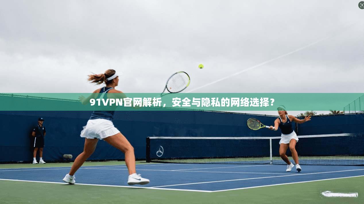 91VPN官网解析，安全与隐私的网络选择？