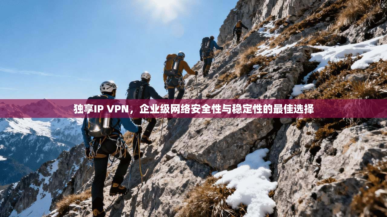 独享IP VPN,企业级网络安全性与稳定性的最佳选择
