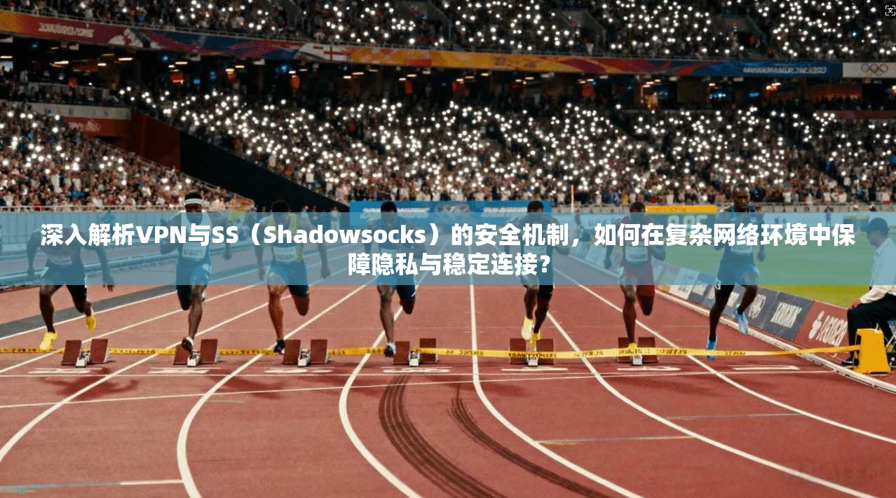 深入解析VPN与SS（Shadowsocks）的安全机制，如何在复杂网络环境中保障隐私与稳定连接？