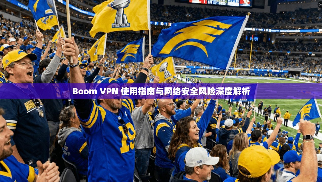 Boom VPN 使用指南与网络安全风险深度解析