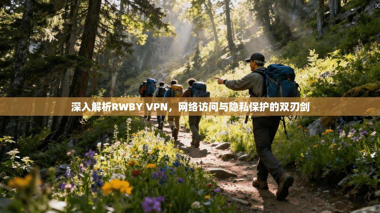 深入解析RWBY VPN，网络访问与隐私保护的双刃剑