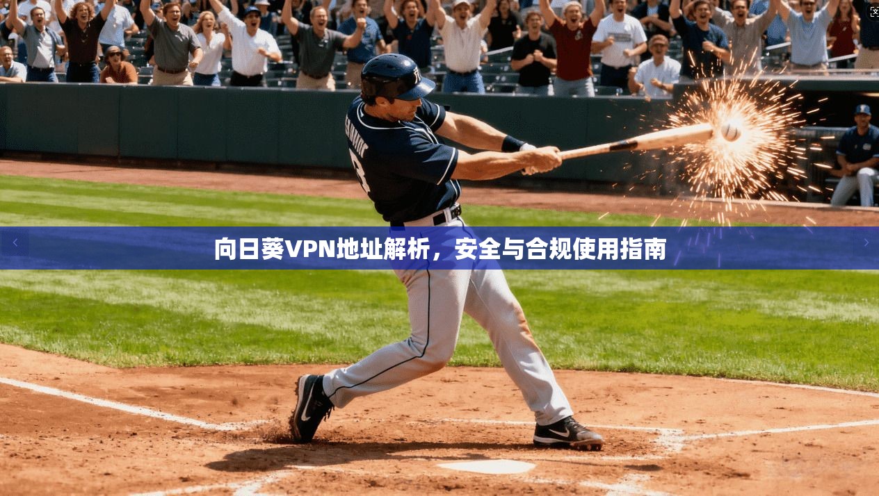 向日葵VPN地址解析，安全与合规使用指南