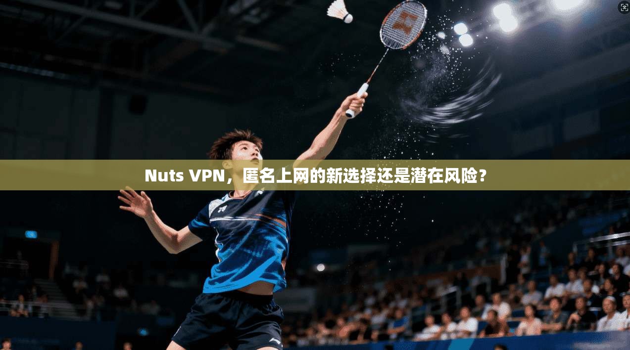 Nuts VPN，匿名上网的新选择还是潜在风险？