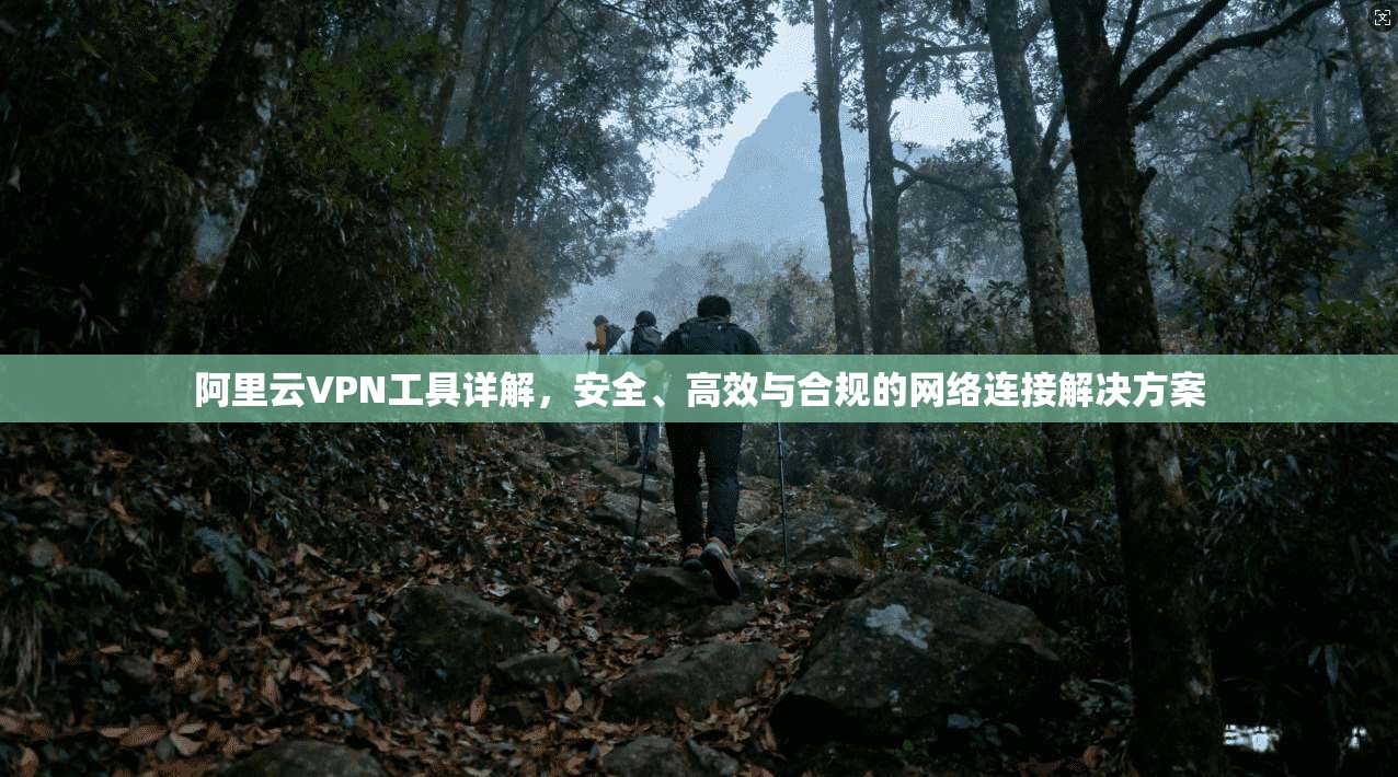 阿里云VPN工具详解，安全、高效与合规的网络连接解决方案
