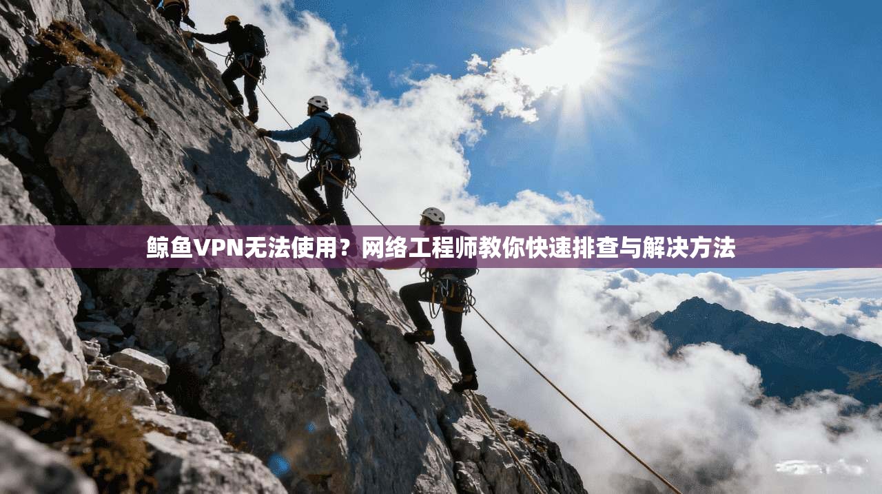 鲸鱼VPN无法使用？网络工程师教你快速排查与解决方法