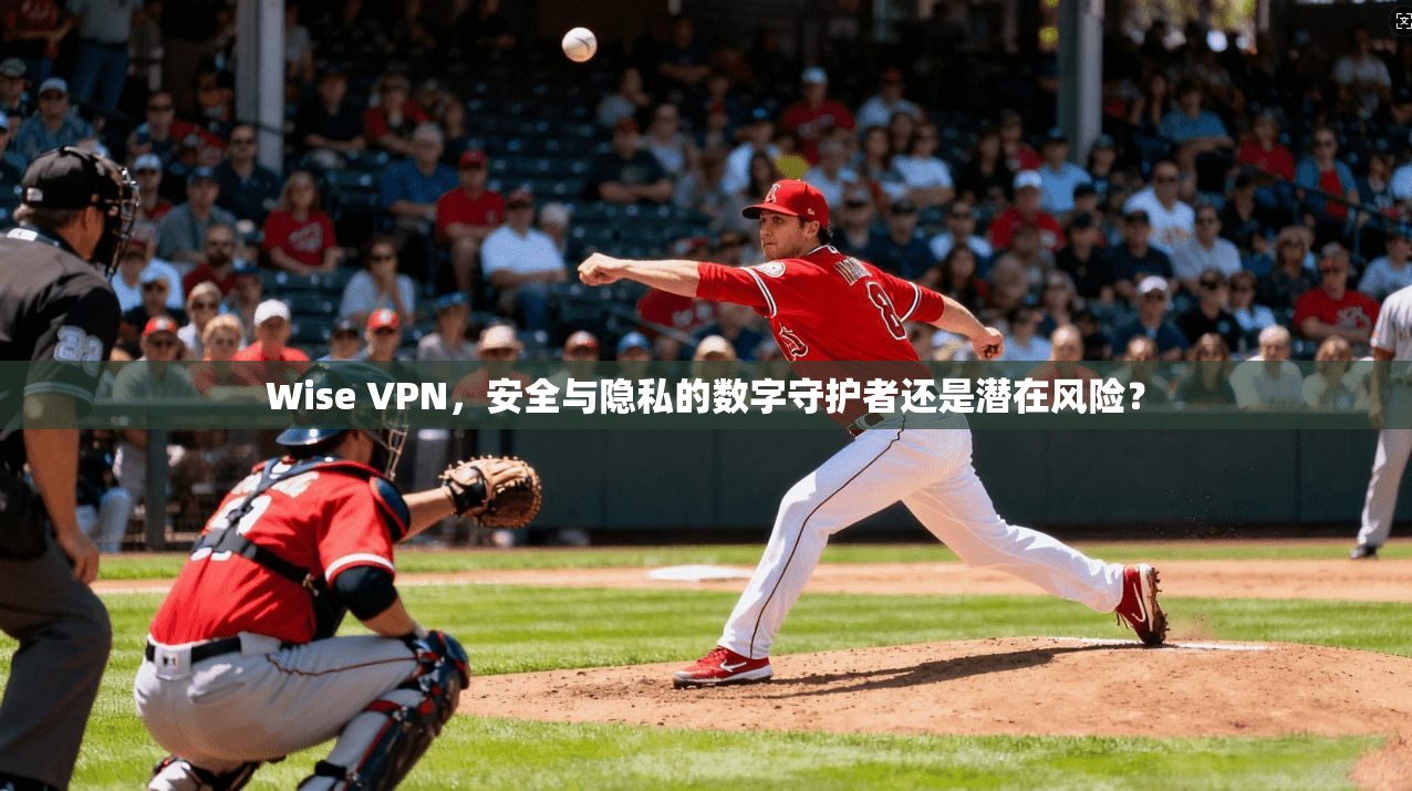 Wise VPN，安全与隐私的数字守护者还是潜在风险？