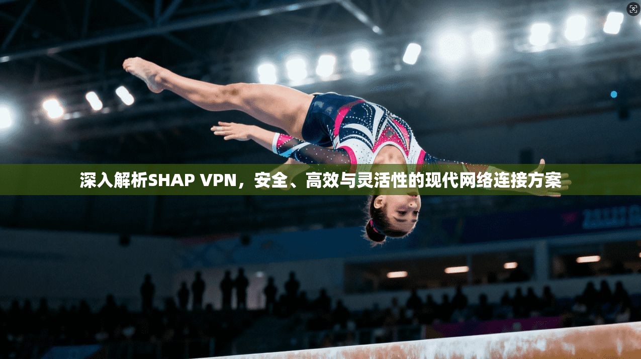 深入解析SHAP VPN，安全、高效与灵活性的现代网络连接方案