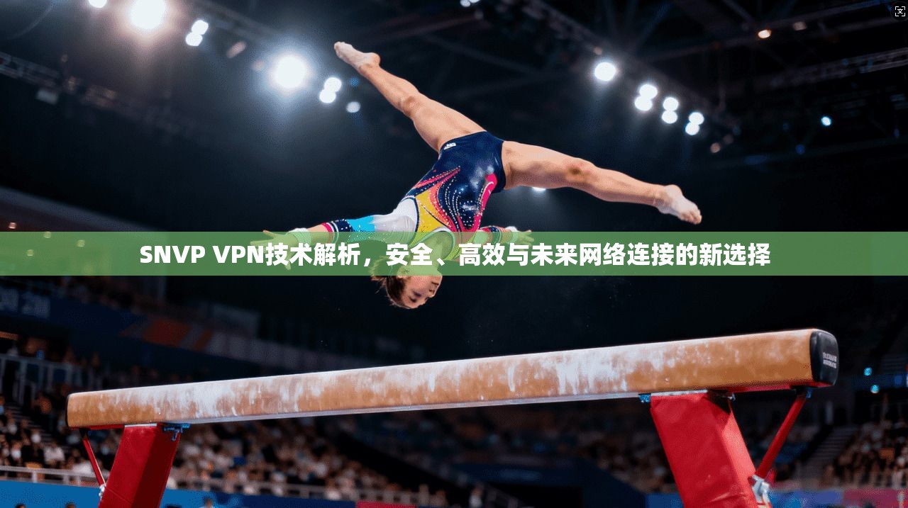 SNVP VPN技术解析，安全、高效与未来网络连接的新选择