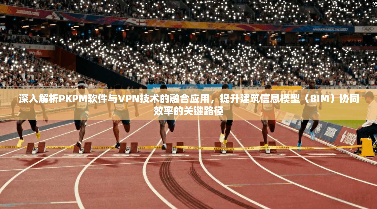 深入解析PKPM软件与VPN技术的融合应用，提升建筑信息模型（BIM）协同效率的关键路径