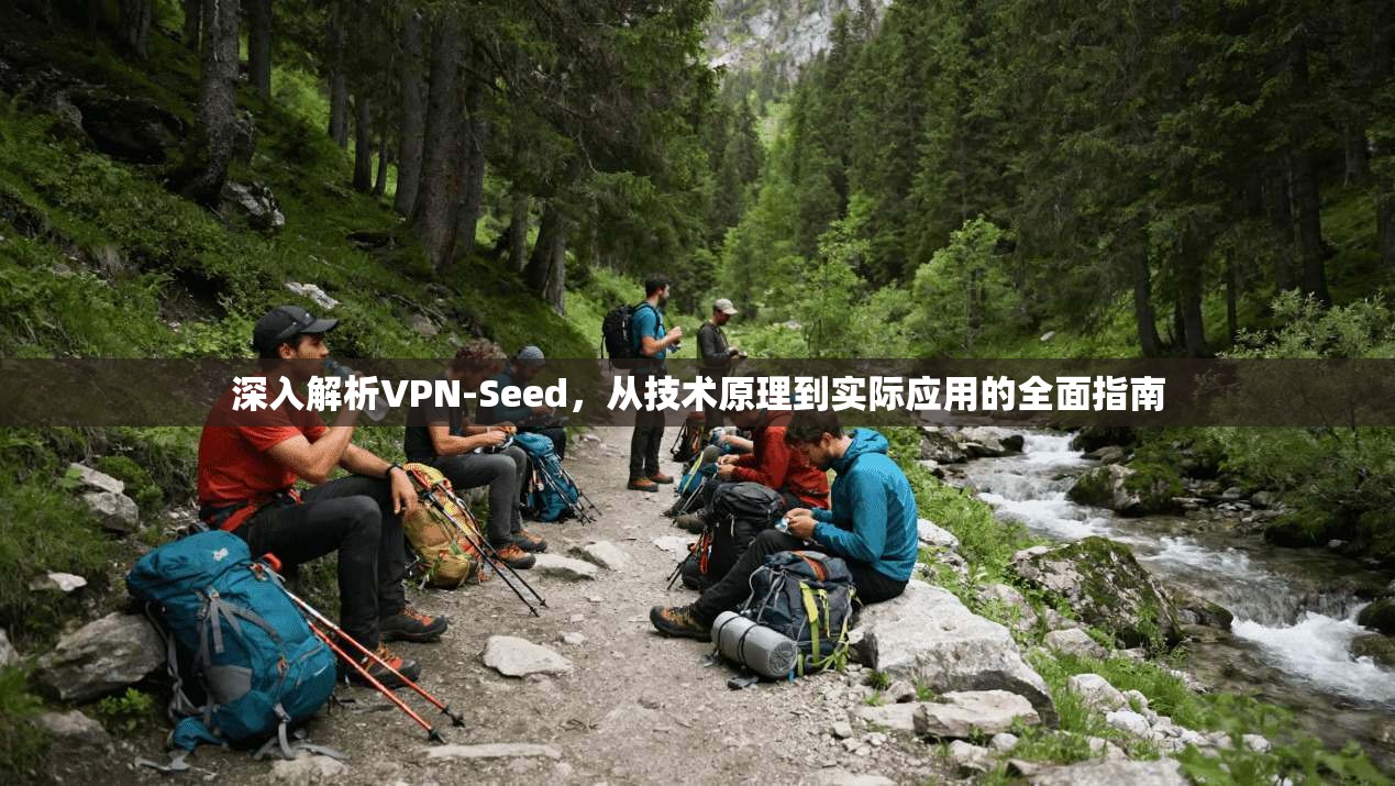 深入解析VPN-Seed,从技术原理到实际应用的全面指南 深入解析VPN-Seed,从技术原理到实际应用的全面指南
