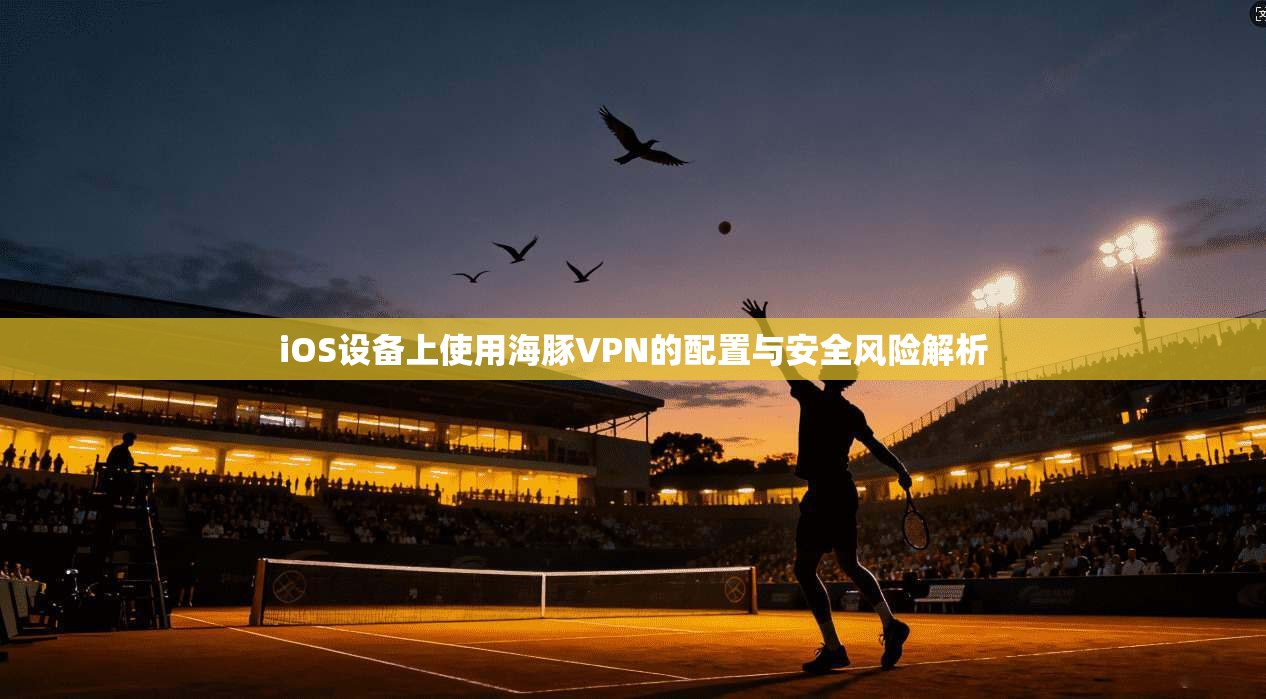 iOS设备上使用海豚VPN的配置与安全风险解析