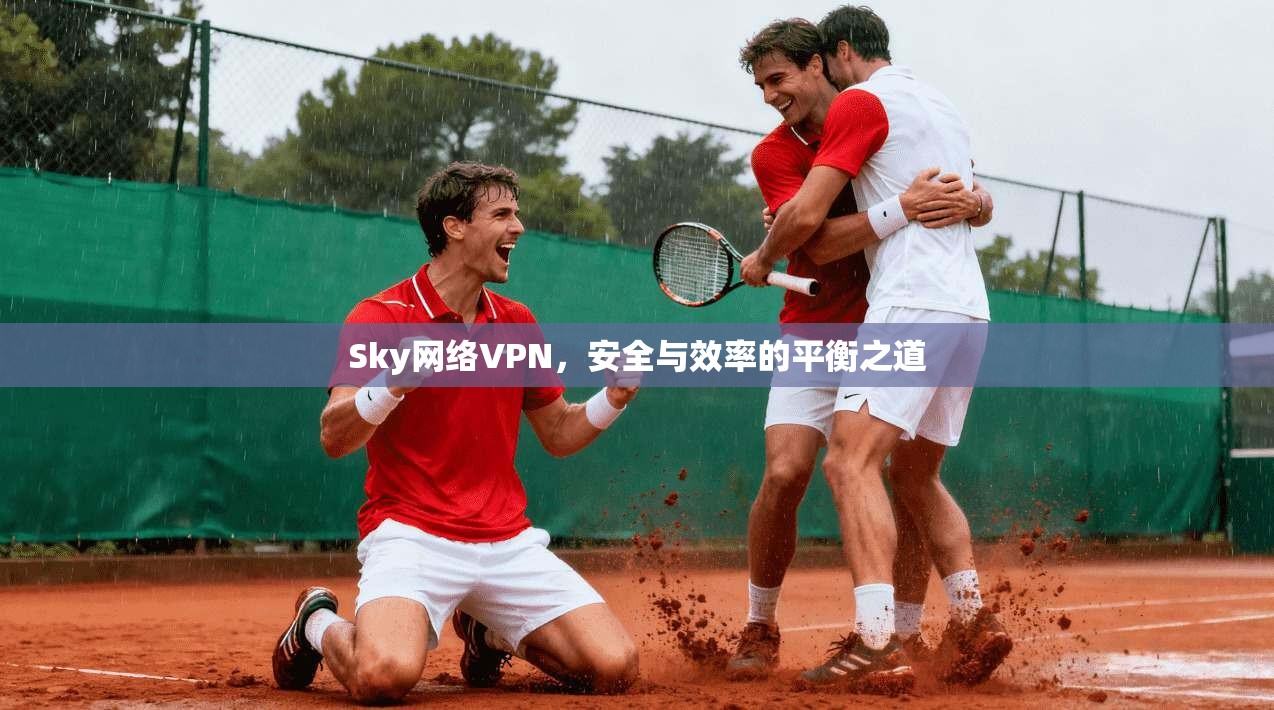 Sky网络VPN，安全与效率的平衡之道