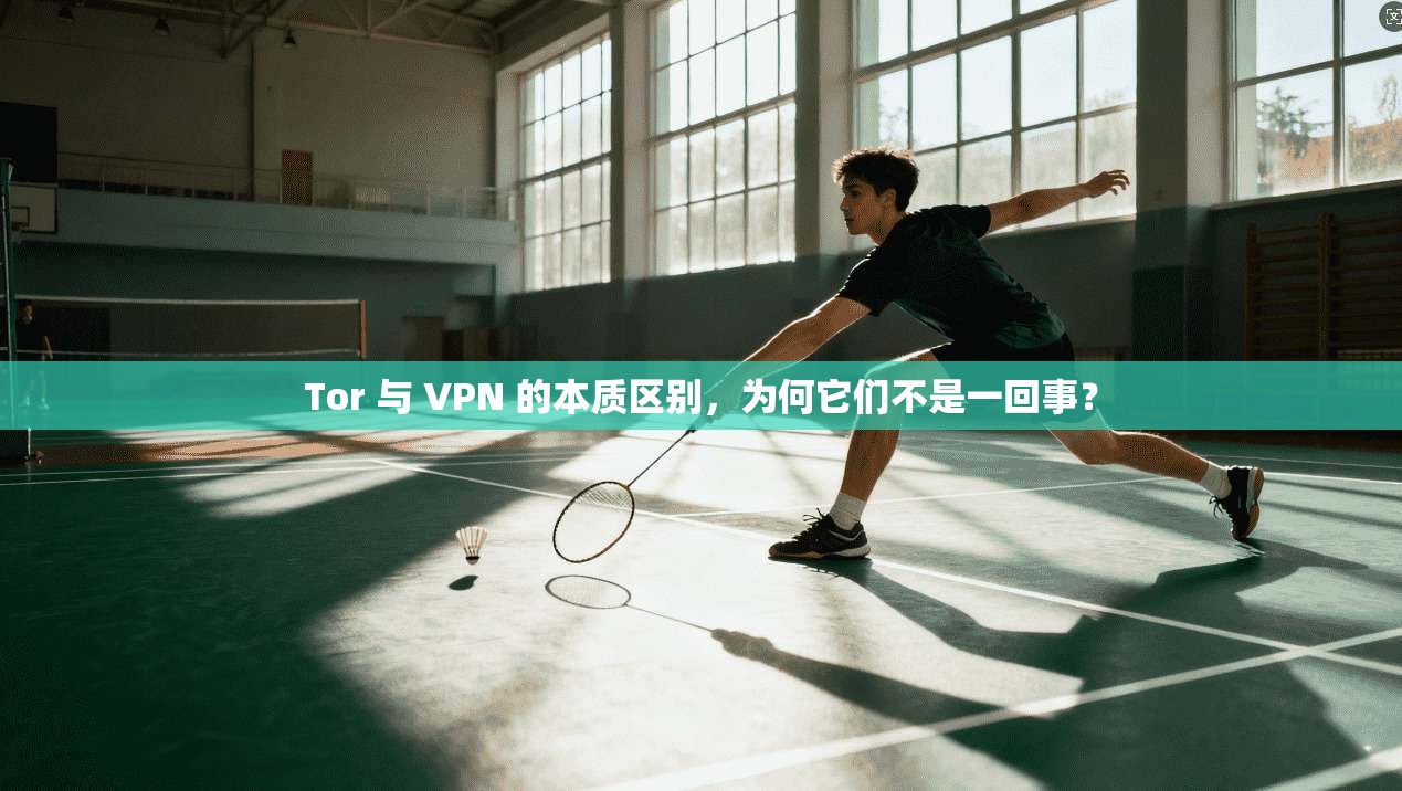 Tor 与 VPN 的本质区别，为何它们不是一回事？
