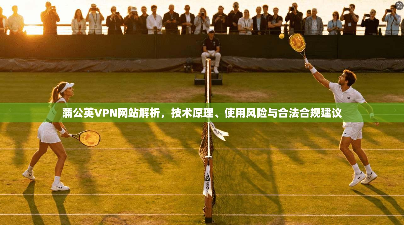 蒲公英VPN网站解析，技术原理、使用风险与合法合规建议