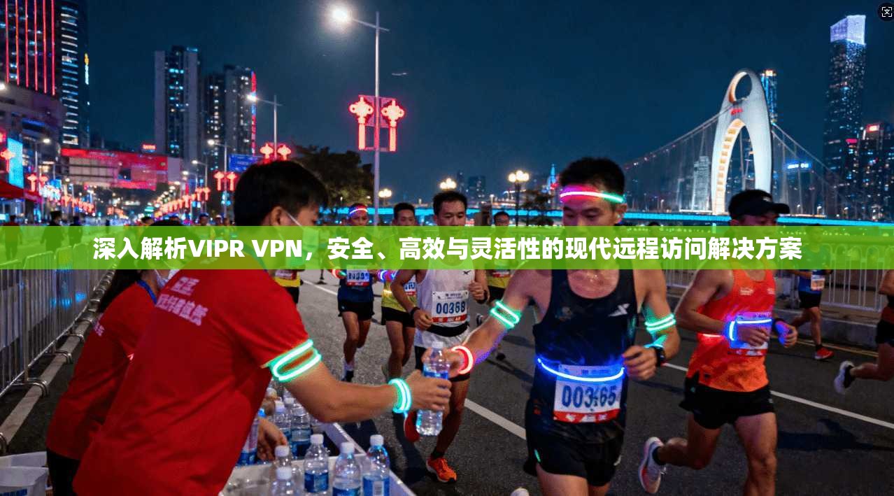 深入解析VIPR VPN,安全、高效与灵活性的现代远程访问解决方案 深入解析VIPR VPN,安全、高效与灵活性的现代远程访问解决方案