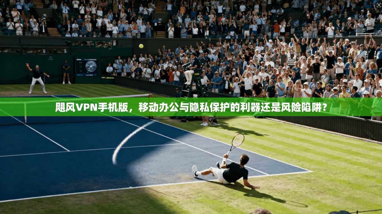 飓风VPN手机版，移动办公与隐私保护的利器还是风险陷阱？