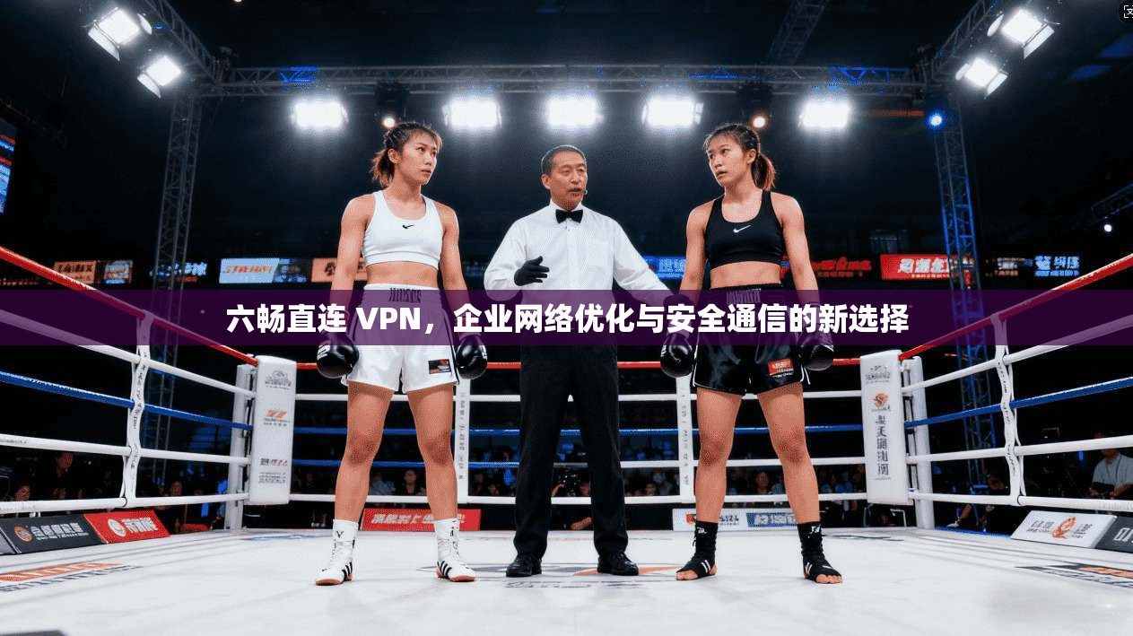 六畅直连 VPN，企业网络优化与安全通信的新选择