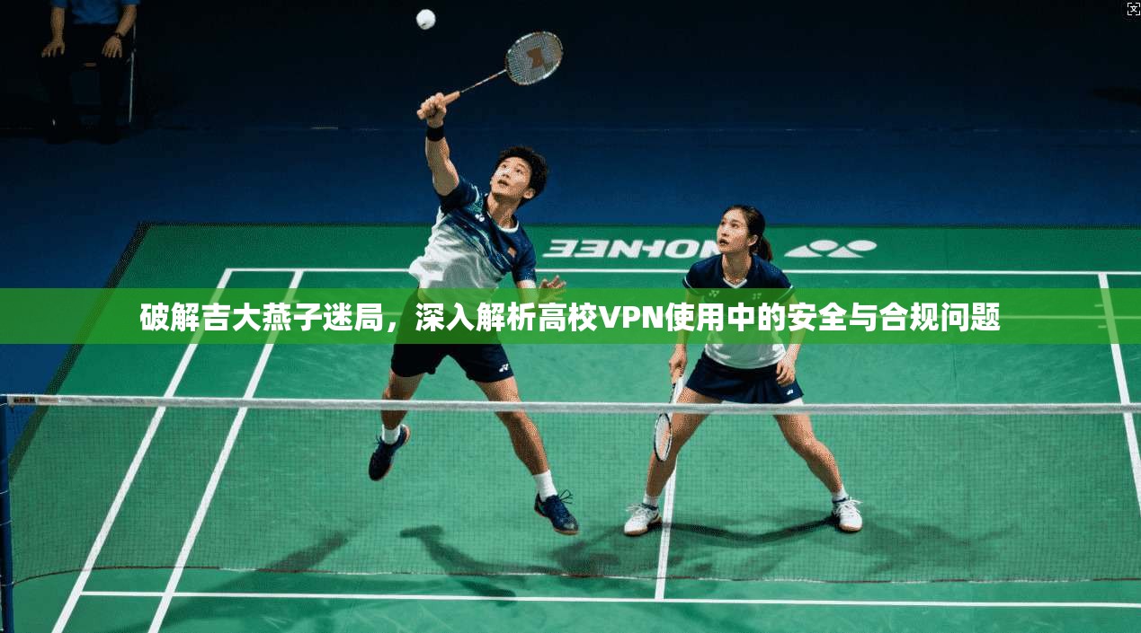 破解吉大燕子迷局，深入解析高校VPN使用中的安全与合规问题